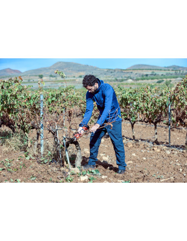 Tijera de poda eléctrica sin cable,...