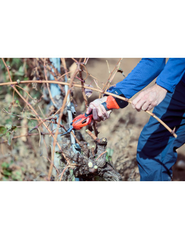 Tijera de poda eléctrica sin cable,...
