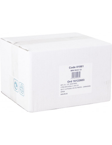 CAJA FUERTE MINI VAULT-23