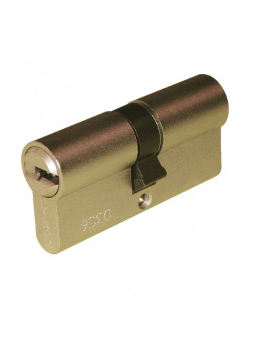 Cilindro seguridad LINCE 2100