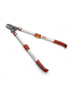 PODADERA TELESCÓPICA CON...