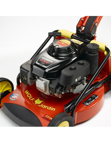 Cortacésped Termico OUTILS WOLF -...