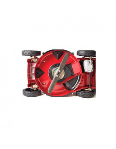 CORTACÉSPED PROFESIONAL... 2