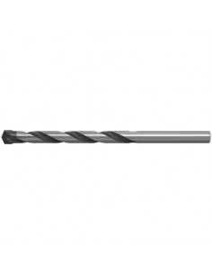 fischer Broca pared E