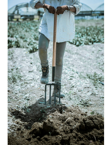 Horca de jardín, dientes forjados y...