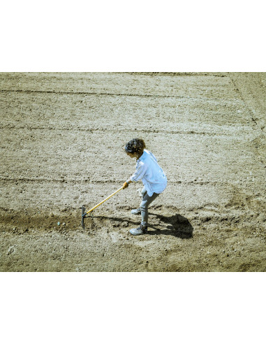 Rastrillo uso doméstico, con mango de...