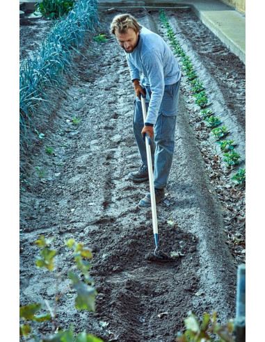 Azada pico para trabajos  de...