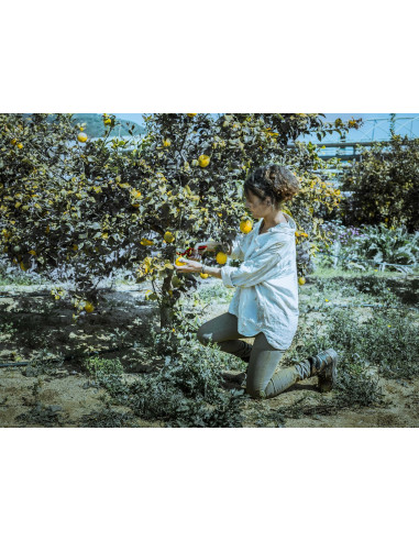 Tijeras de una mano, mango de acero...