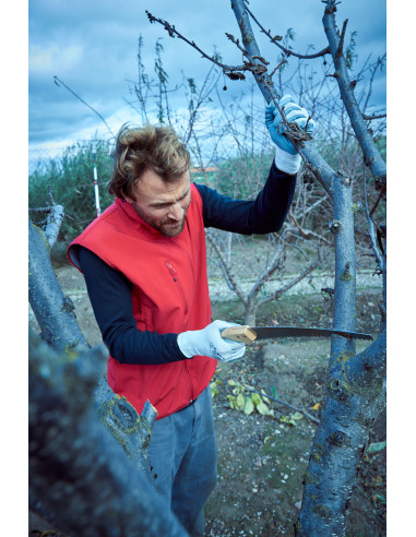 Serrucho de poda dentado japonés,...