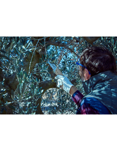 Serrucho de poda dentado japonés,...