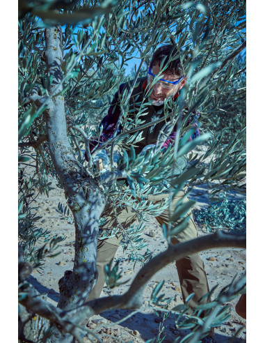 Serrucho de poda dentado japonés,...