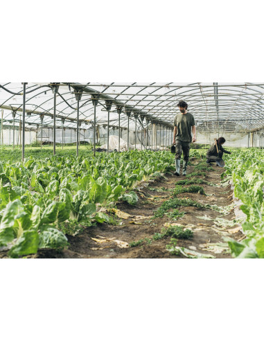 Bota de seguridad de agua PVC S5...