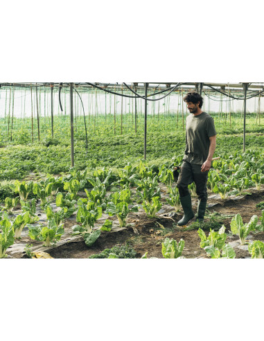 Bota de seguridad de agua PVC S5...