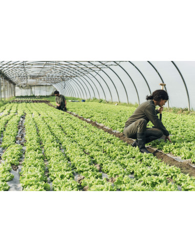 Bota de seguridad de agua PVC S5...