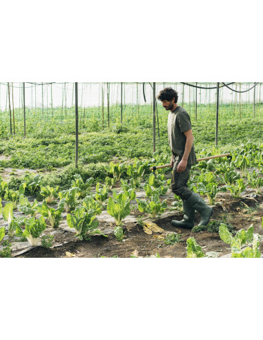 Bota de seguridad de agua PVC S5...