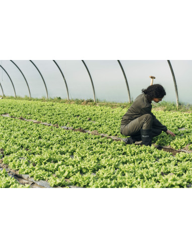 Bota de seguridad de agua PVC S5...