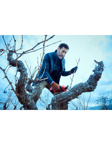 Tijera de poda eléctrica sin cable,...