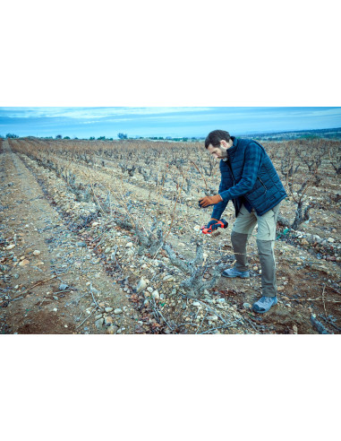 Tijera de poda eléctrica sin cable,...