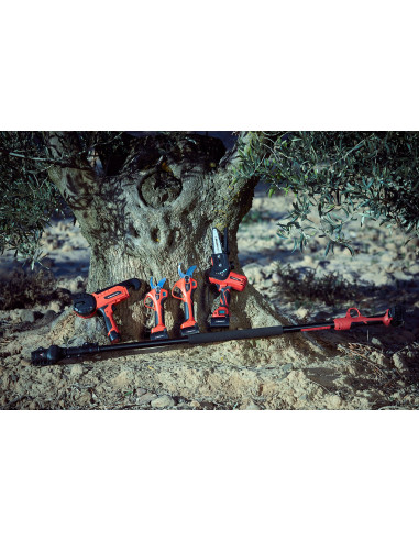 Tijera de poda eléctrica sin cable,...