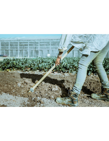 ertificado PEFC de 1000 mm  / HOE344W