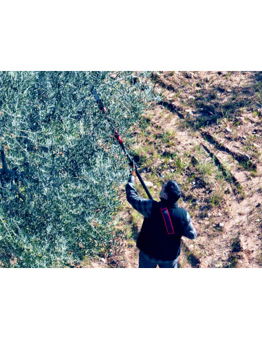 Motosierra pértiga a batería 210mm de...