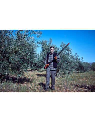 Tijera pértiga a batería 40mm de...