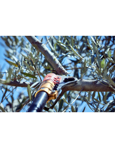 Tijera pértiga a batería 40mm de...