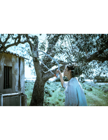 Sierra de arco para corte de madera...