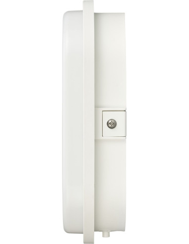 Aplique/plafón LED ovalado OL 1650 de...