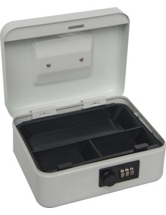 CAJA CAUDALES COMBINACION... 2