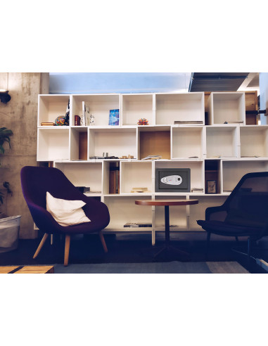 CAJA FUERTE TECNA 250