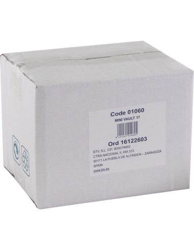 CAJA FUERTE MINI VAULT-17