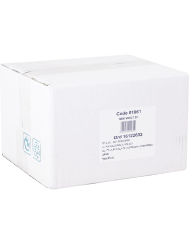 CAJA FUERTE MINI VAULT-23