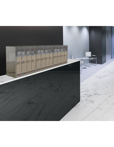 BUZÓN PRISMA FRONTAL TODO ACERO...