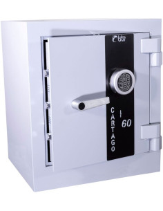 CAJA FUERTE CARTAGO 60-E