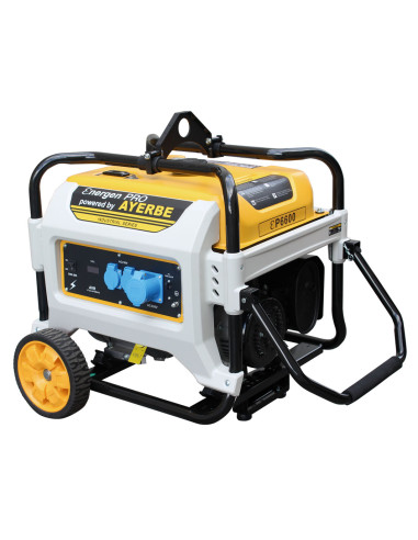 GRUPO ELECTRÓGENO ENER - GEN PRO 6600 E