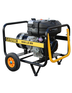 GENERADOR AYERBE 6000 LB MN...