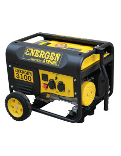 GRUPO ELECTRÓGENO ENERGEN 3100