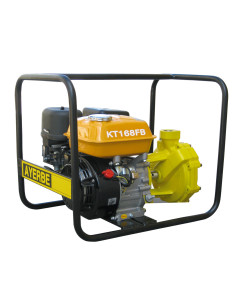 MOTOBOMBA AYERBE 150 KT AP