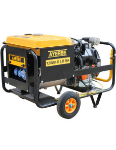 GENERADOR AYERBE 12500 MN E