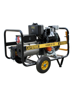 GENERADOR AYERBE 12500...
