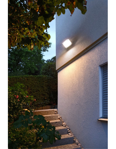 Foco LED de pared AL con protección...