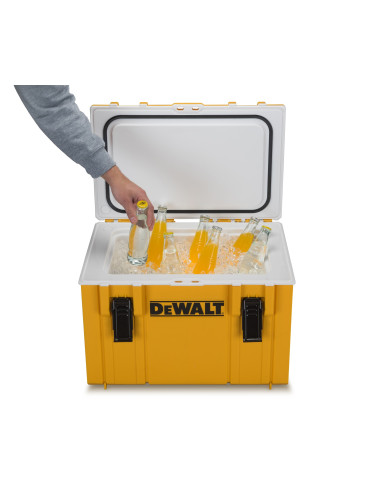 DWST1-81333 - Nevera térmica DS404...