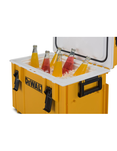 DWST1-81333 - Nevera térmica DS404...