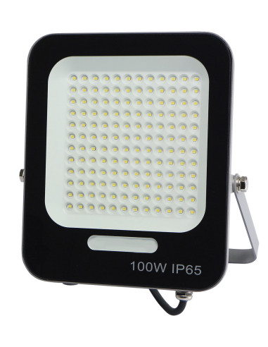 FOCO LED AY 100 W
