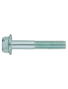 la estampada y grafilada....