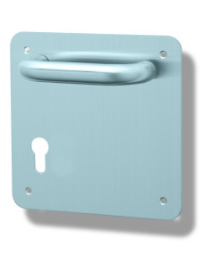 Manilla Sena 304 placa...