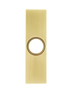 Escudo rectangular de...