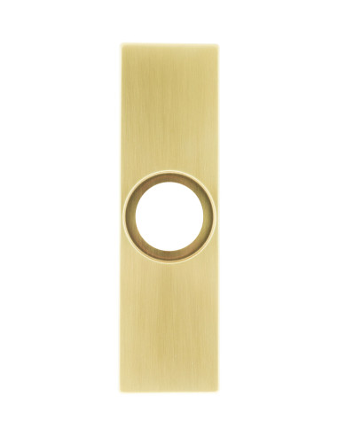 Escudo rectangular de respuesto