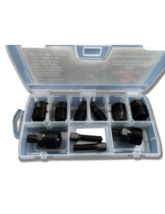 JUEGO FORZA PARA PLATOS...